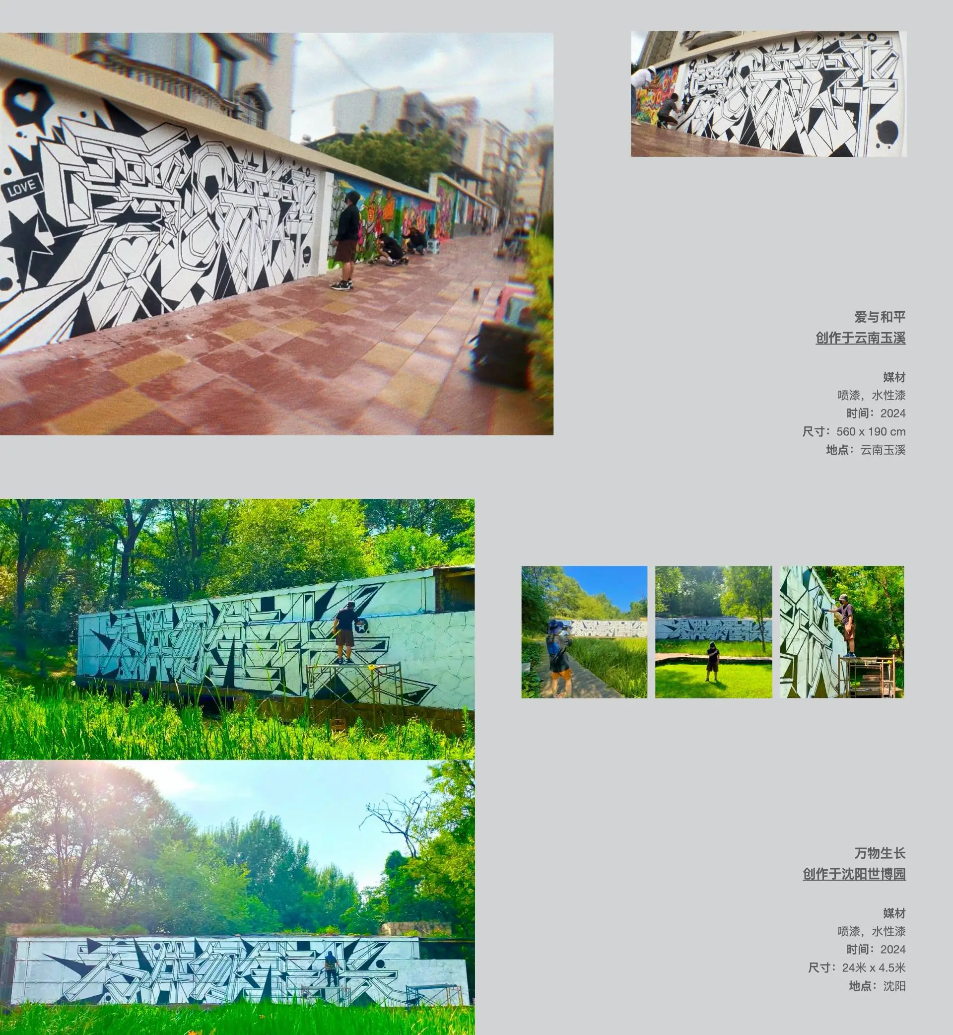 参展作品P2 副本 副本