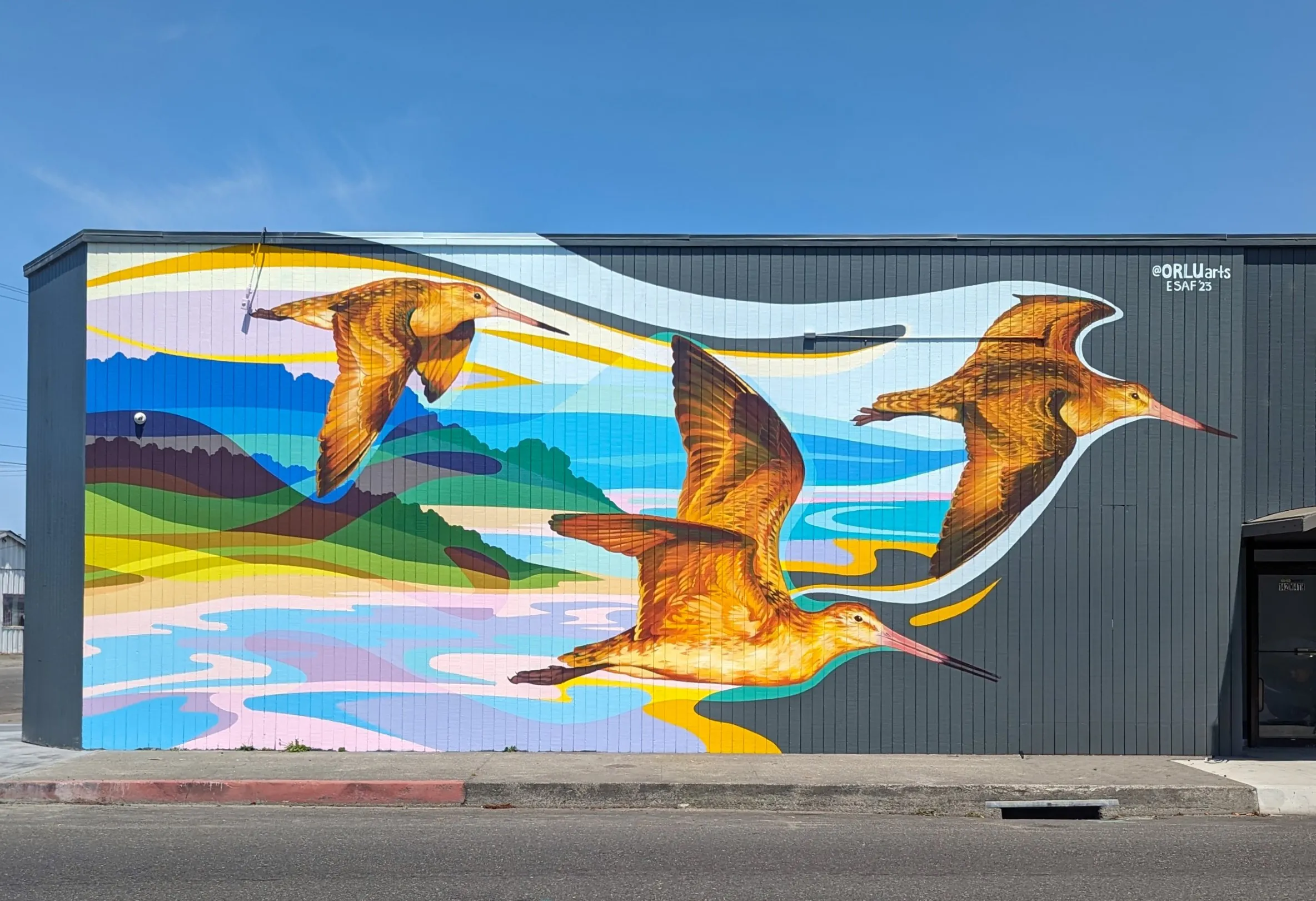 ORLUarts 2 - Meeting of Styles: International Street Art & Graffiti 6 Godwits in Flight ORLUarts