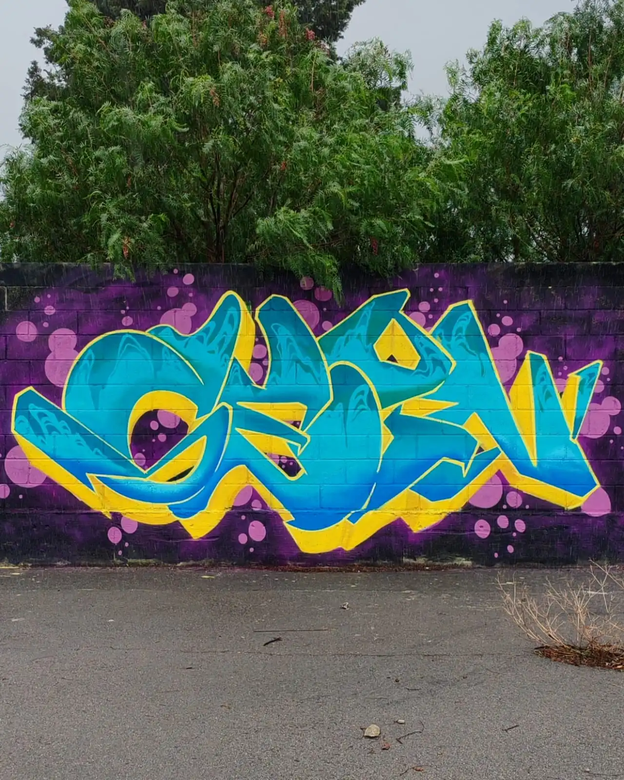 GEIN ONE 4