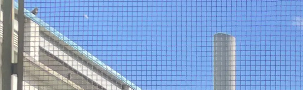 User banner image