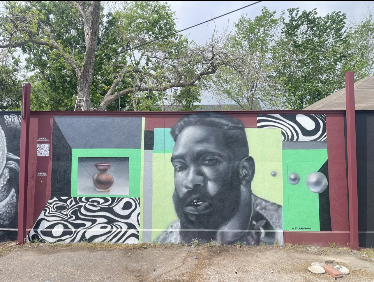 Leyland Adams 3 - Meeting of Styles: International Street Art & Graffiti IMG 3384