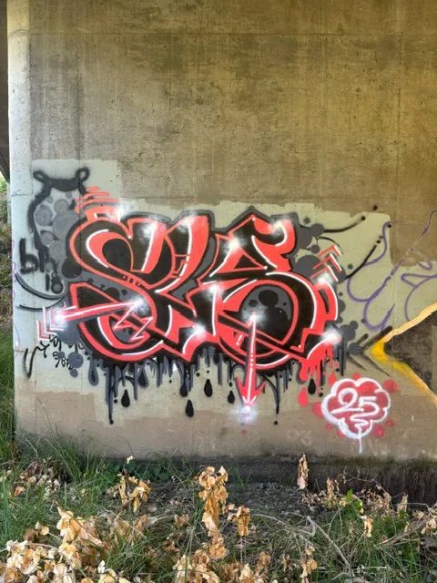 Pages 23 - Meeting of Styles: International Street Art & Graffiti IMG 9406