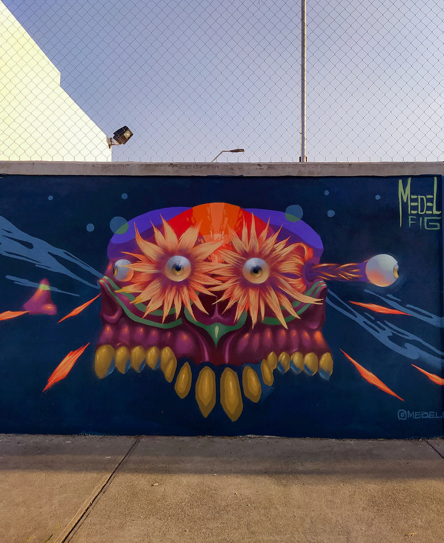 Medel Fig 2023