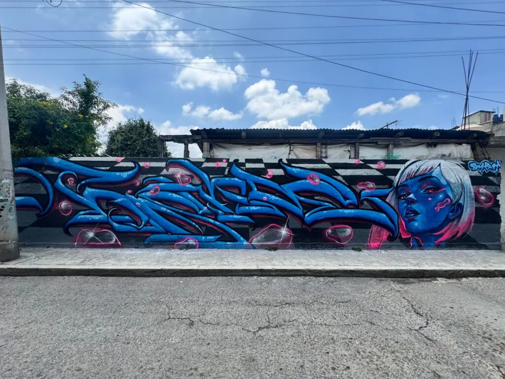WhatsApp Image 2025 08 13 at 6.15.21 PM - Meeting of Styles: International Street Art & Graffiti