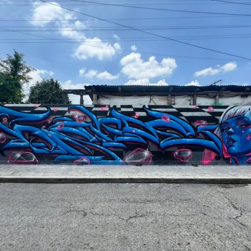 WhatsApp Image 2025 08 13 at 6.15.21 PM - Meeting of Styles: International Street Art & Graffiti