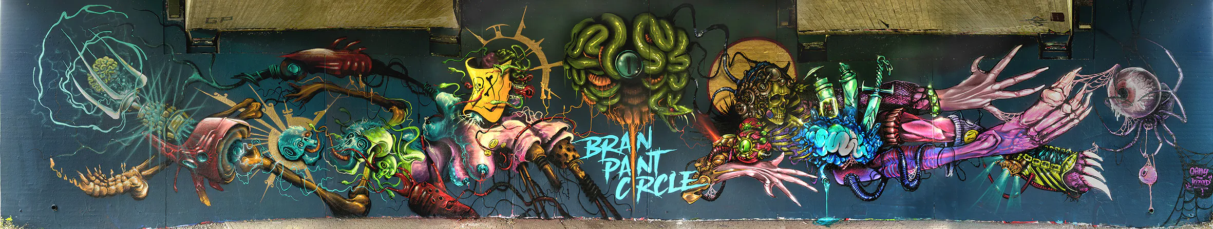 cobrakaikassel 07 2024 2 .1Kopie Kopie