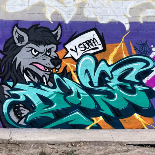 dosewolf - Meeting of Styles: International Street Art & Graffiti