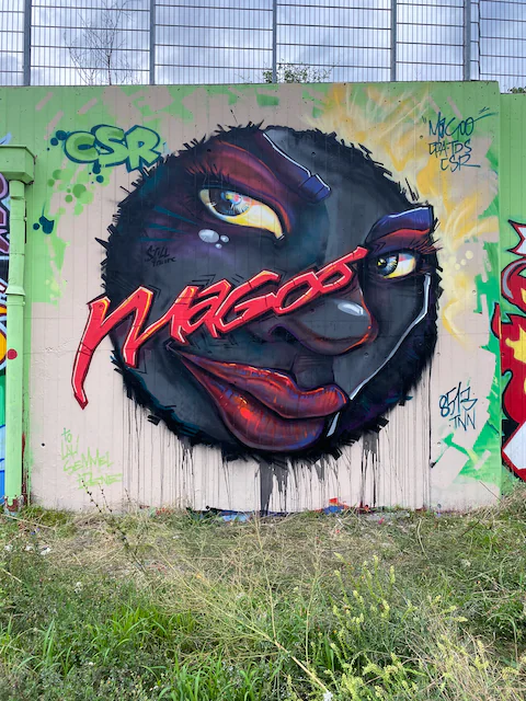 magoo 1