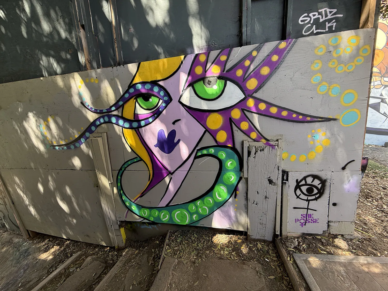 ShePosse 1 - Meeting of Styles: International Street Art & Graffiti mos5