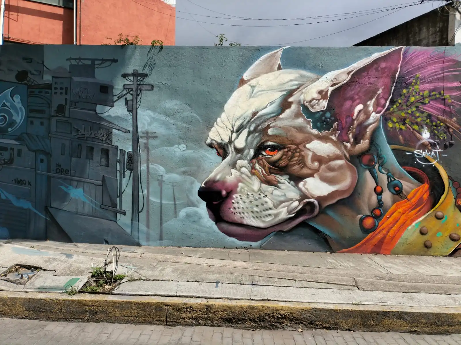 perro sekat 2