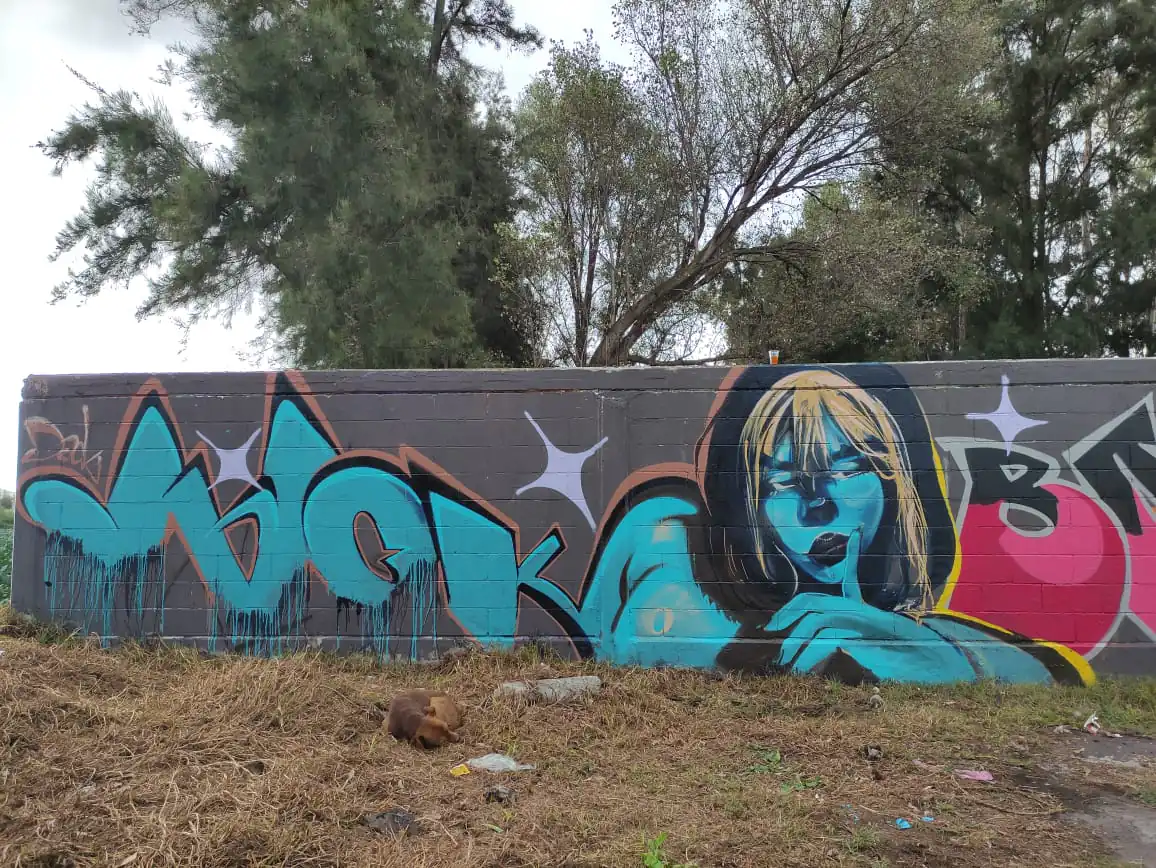 Dack 1 - Meeting of Styles: International Street Art & Graffiti IMG 20220903 WA0027