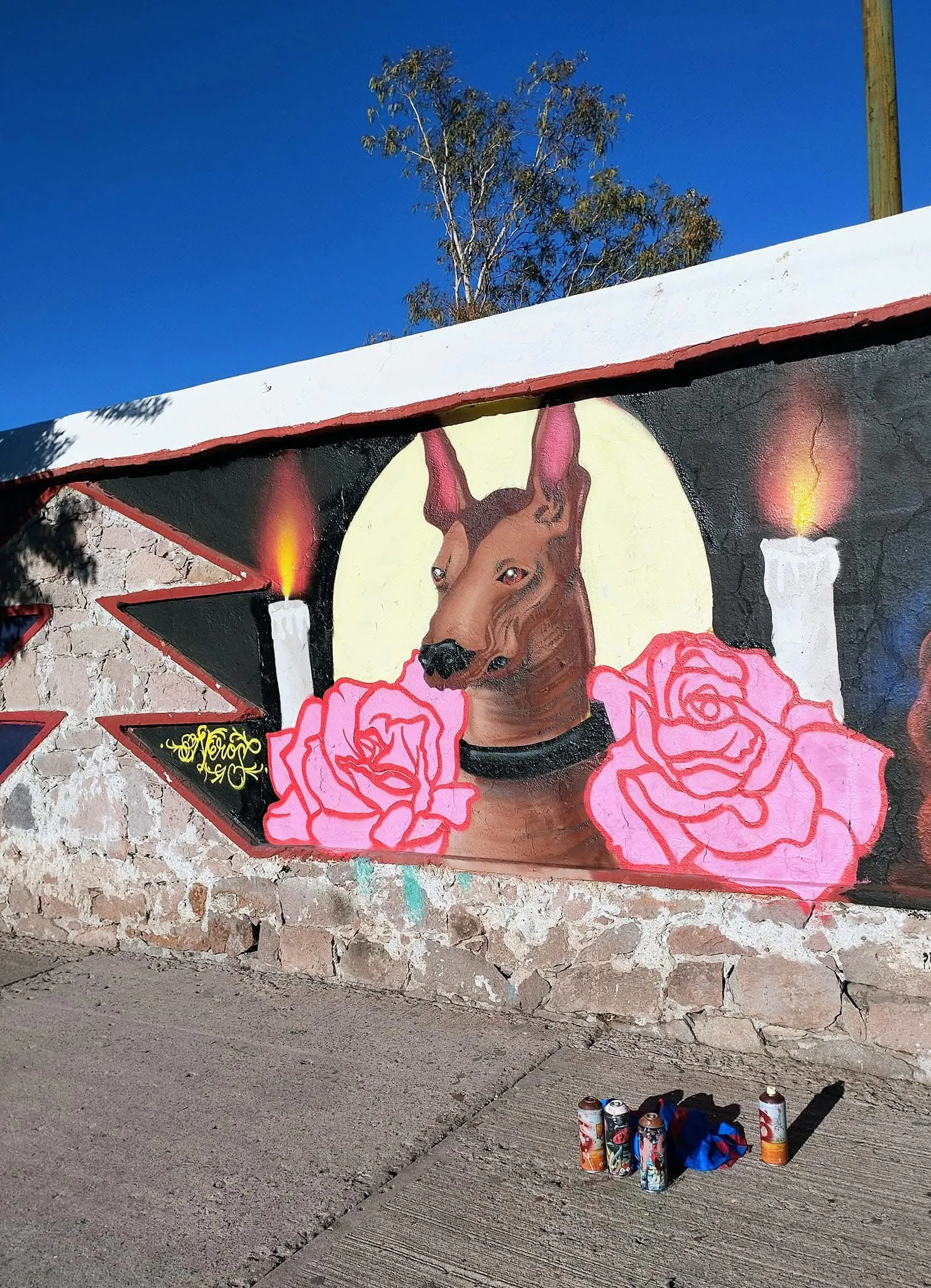 Neros 4 - Meeting of Styles: International Street Art & Graffiti IMG 2903 1