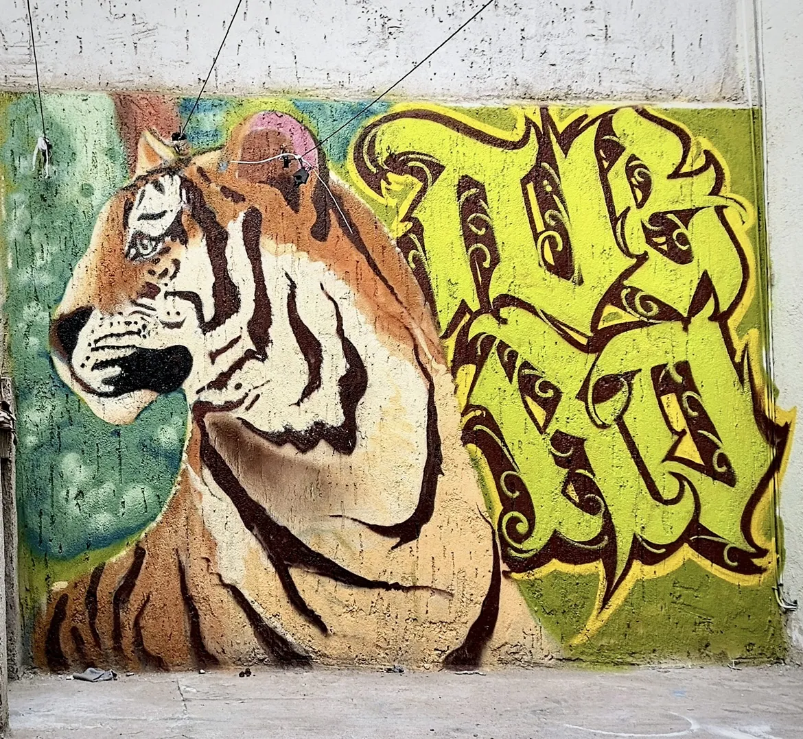 Neros 3 - Meeting of Styles: International Street Art & Graffiti IMG 2963 2