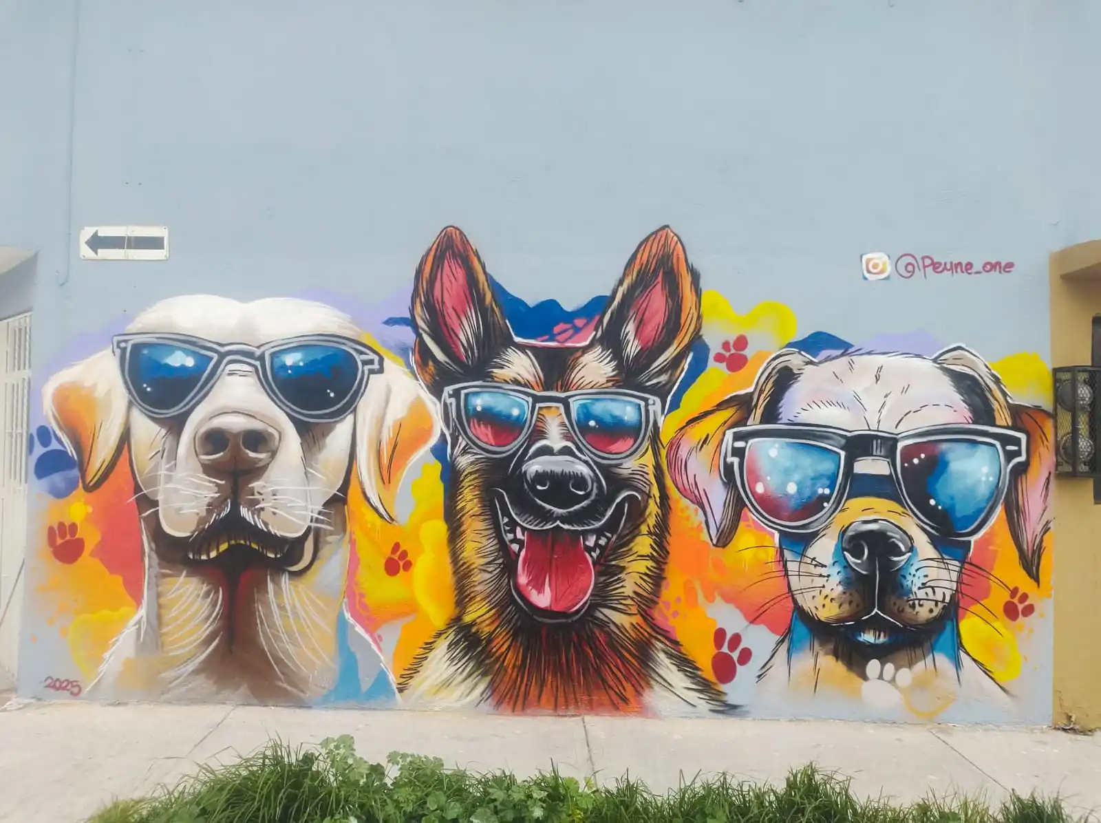 WhatsApp Image 2025 09 05 at 1.12.27 PM