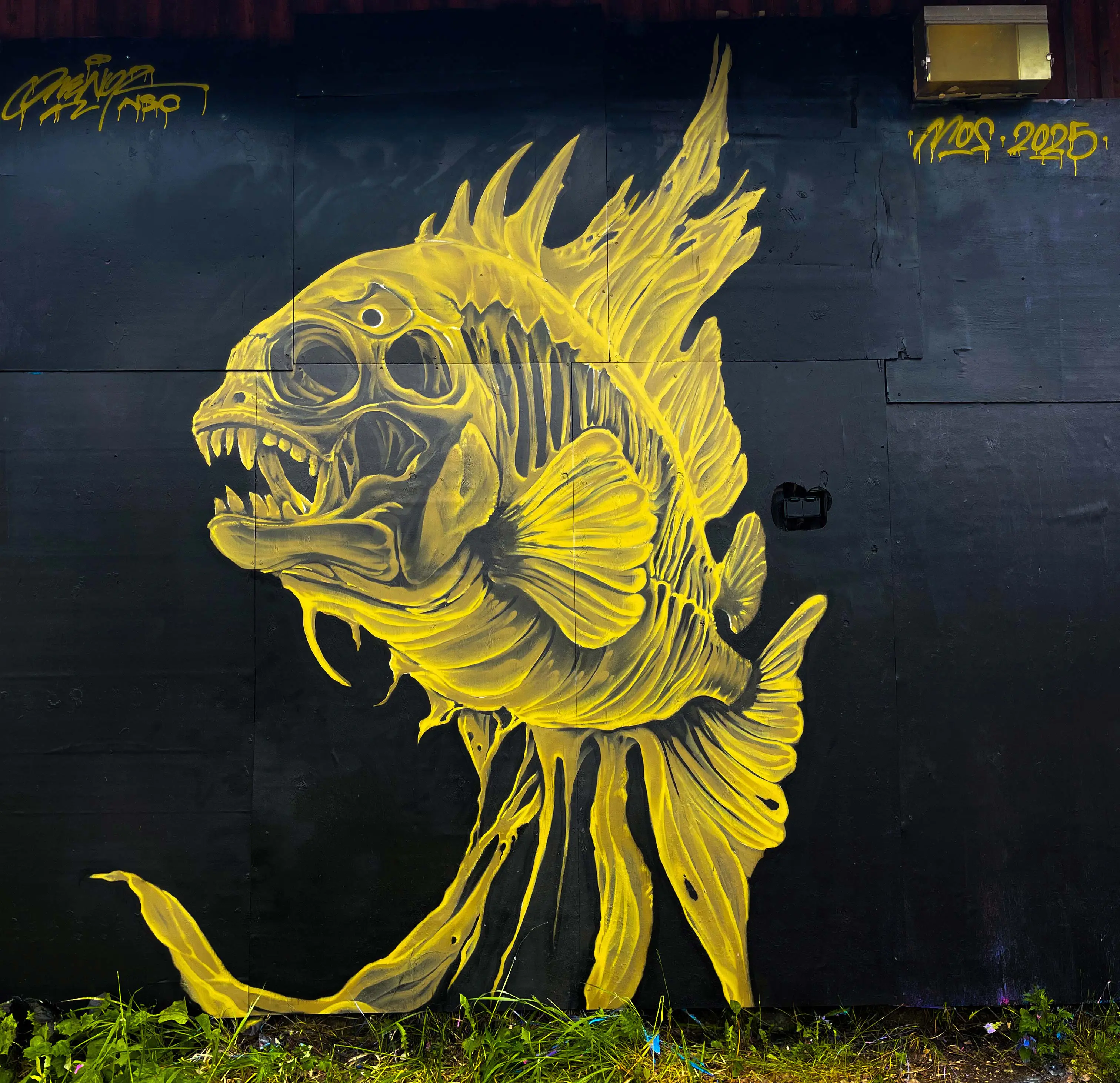 E1BA977B 38A4 4516 B5B0 07E9E258CBFE