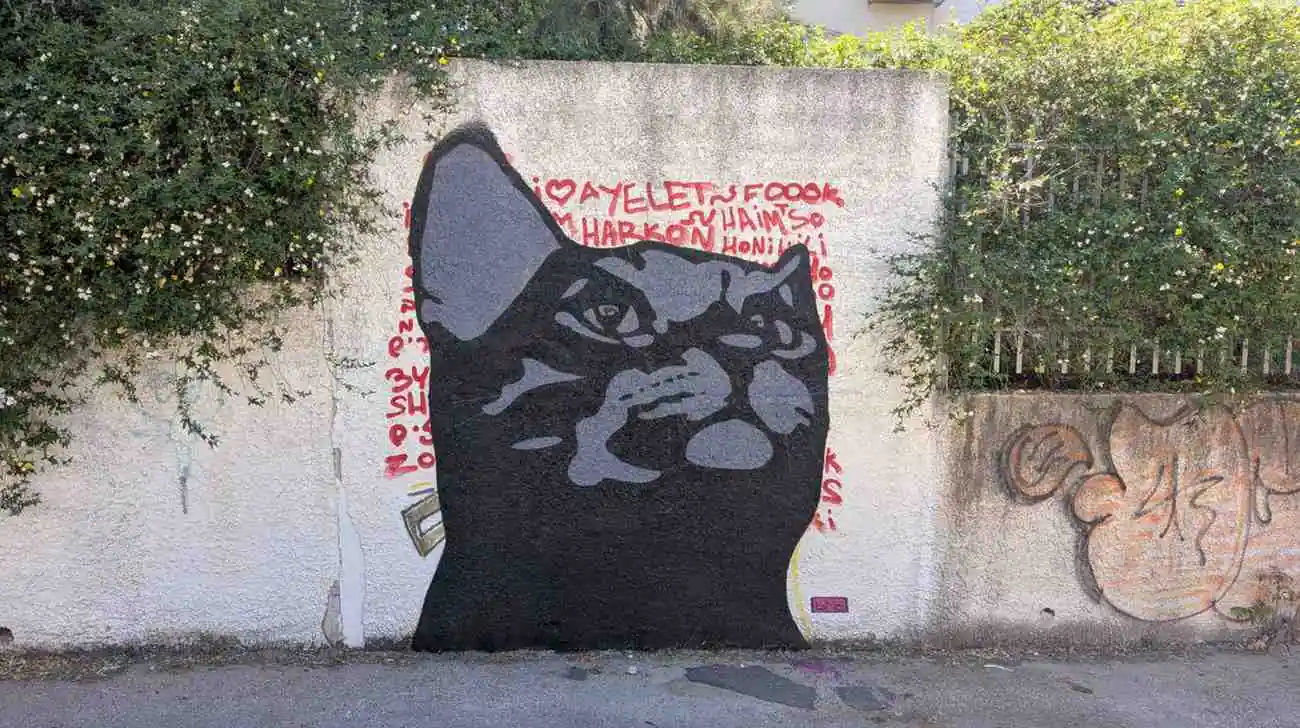 PXL 20250415 073624250.MP1