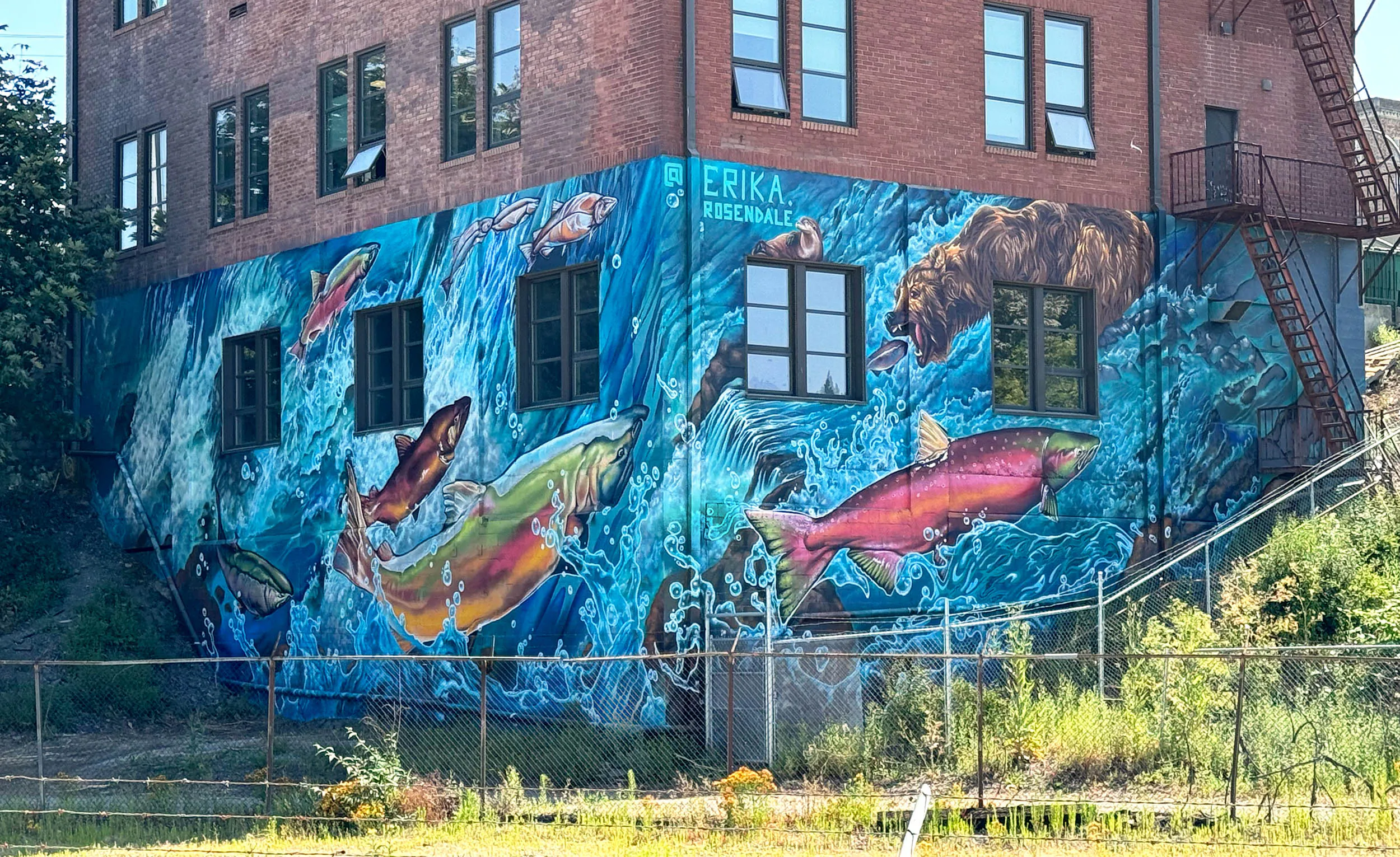 Miss Teal 3 - Meeting of Styles: International Street Art & Graffiti noisywaters