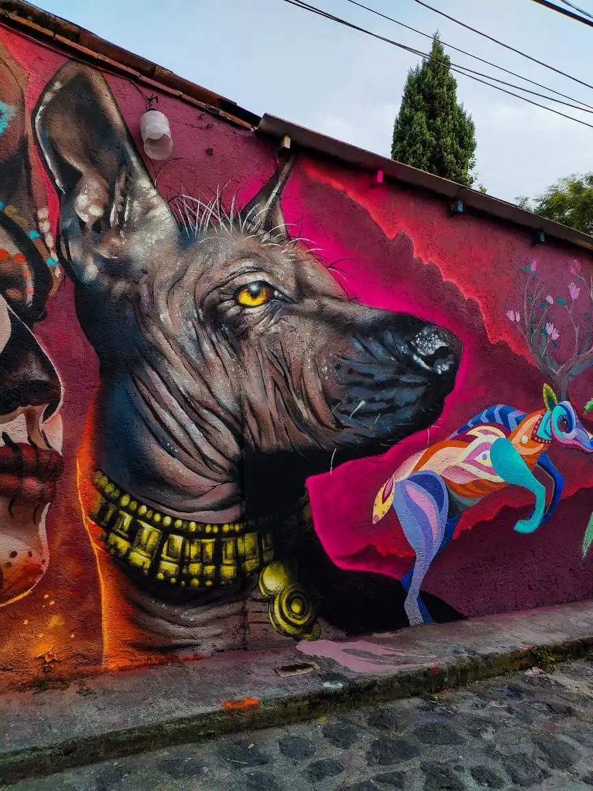 Mich Arellano 4 - Meeting of Styles: International Street Art & Graffiti xoloescuicle