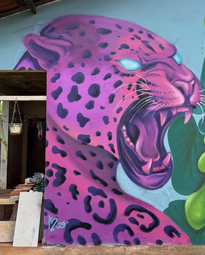 Mavi 2 - Meeting of Styles: International Street Art & Graffiti Captura de Tela 2026 01 30 as 14.53.09