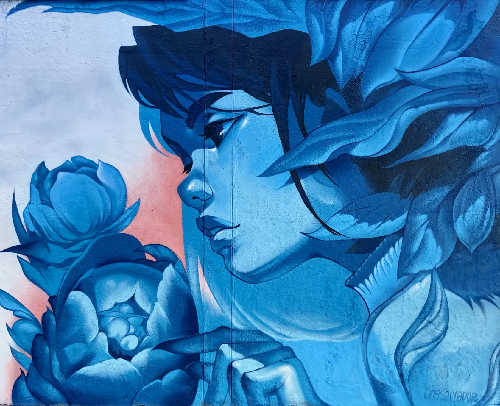 Ona Salvador 3 - Meeting of Styles: International Street Art & Graffiti IMG 9969 1