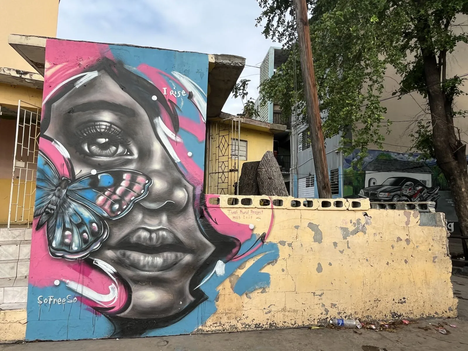 KIN25 Walls web 115 - Meeting of Styles: International Street Art & Graffiti