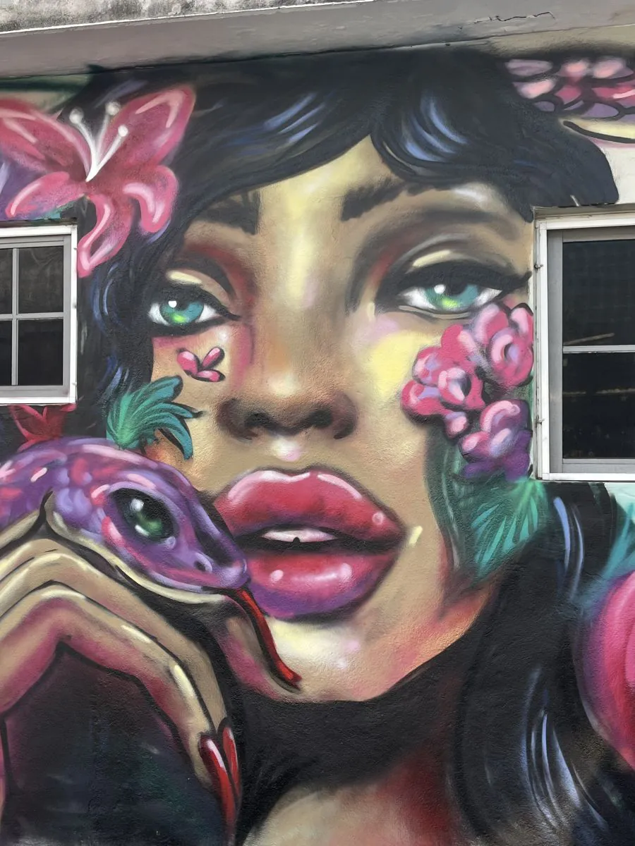 KIN25 Walls web 142 - Meeting of Styles: International Street Art & Graffiti