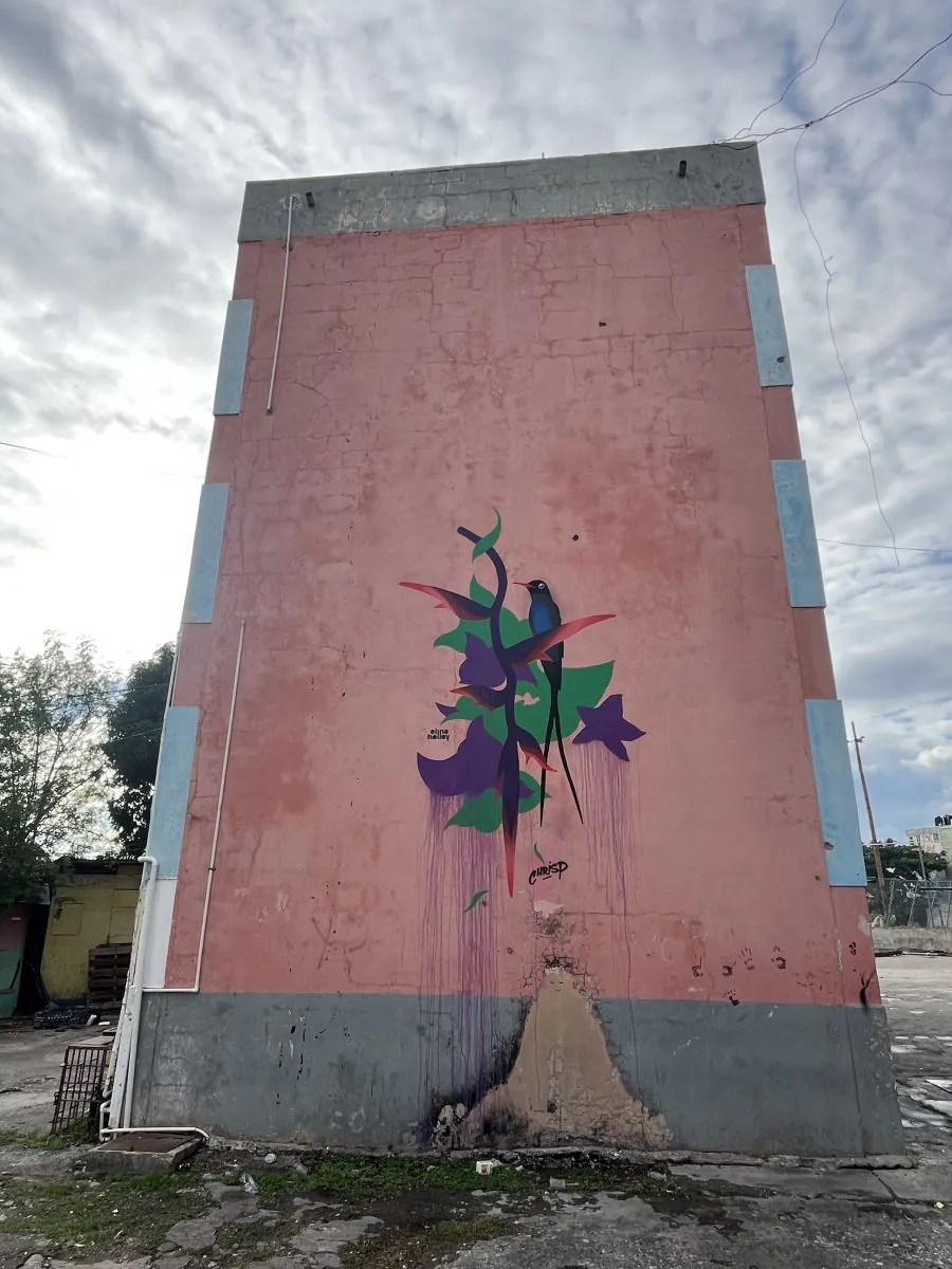 KIN25 Walls web 198 - Meeting of Styles: International Street Art & Graffiti