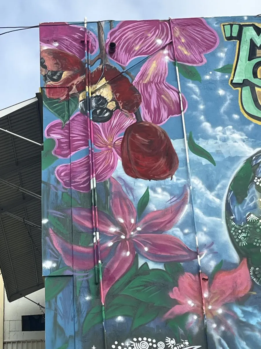 KIN25 Walls web 228 - Meeting of Styles: International Street Art & Graffiti