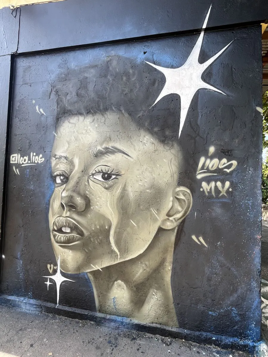 KIN25 Walls web 55 - Meeting of Styles: International Street Art & Graffiti