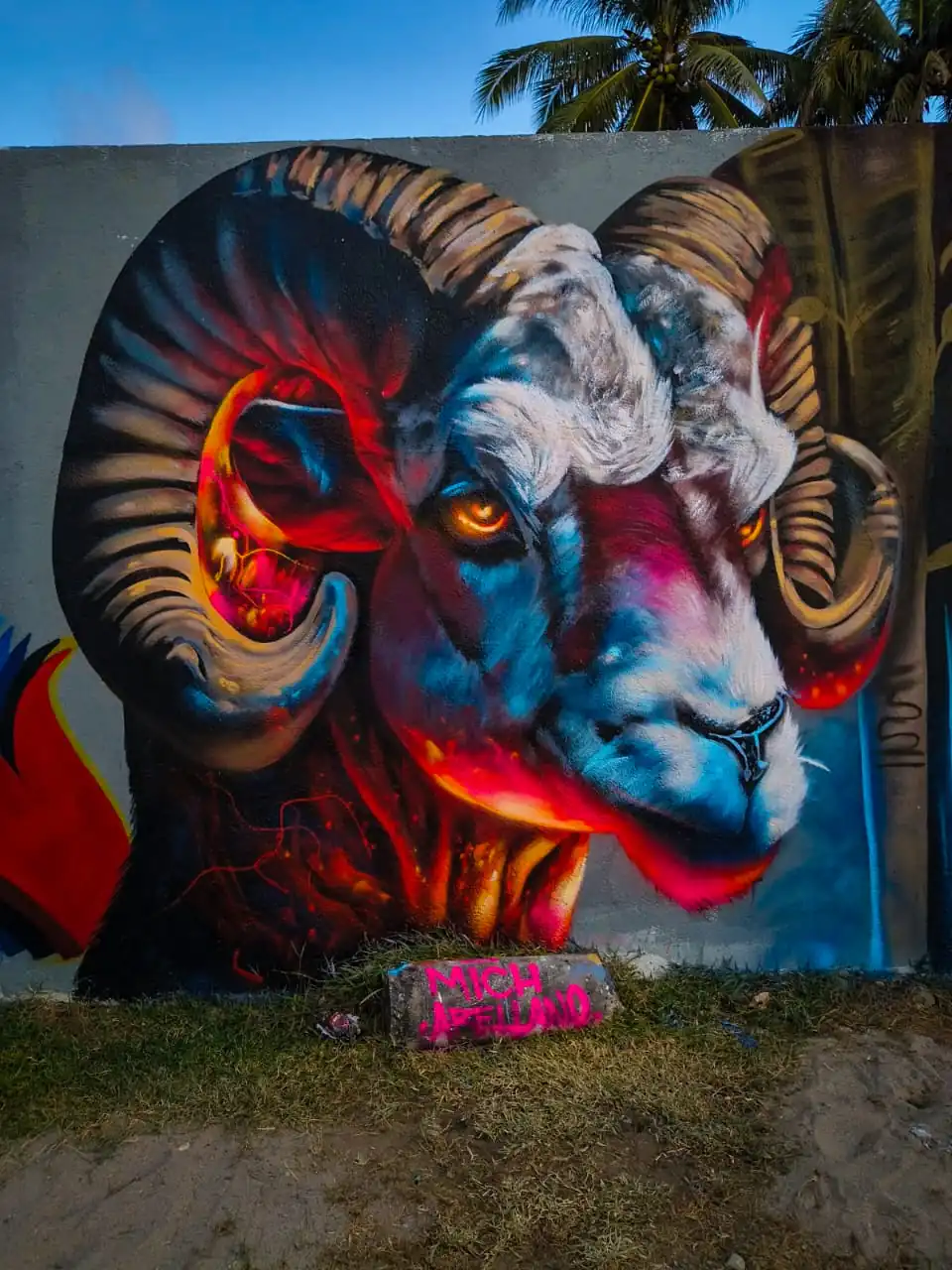 WhatsApp Image 2026 01 23 at 8.42.05 AM 3