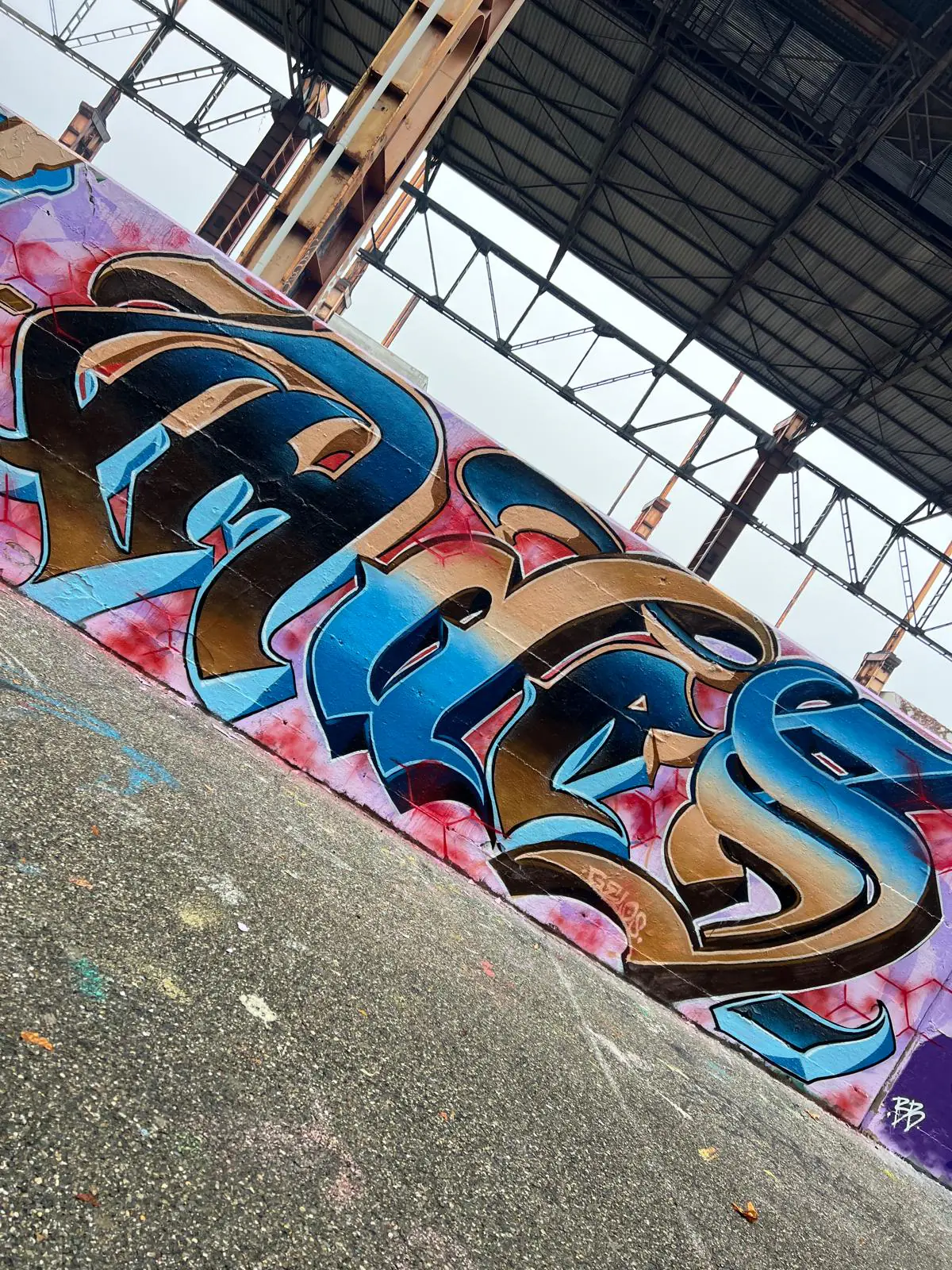 WhatsApp Image 2026 01 31 at 03.10.13 2 1