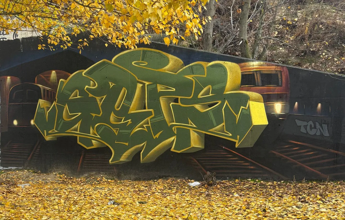 compressed IMG 3700 1