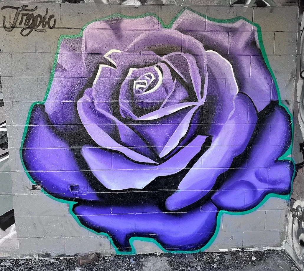Rose