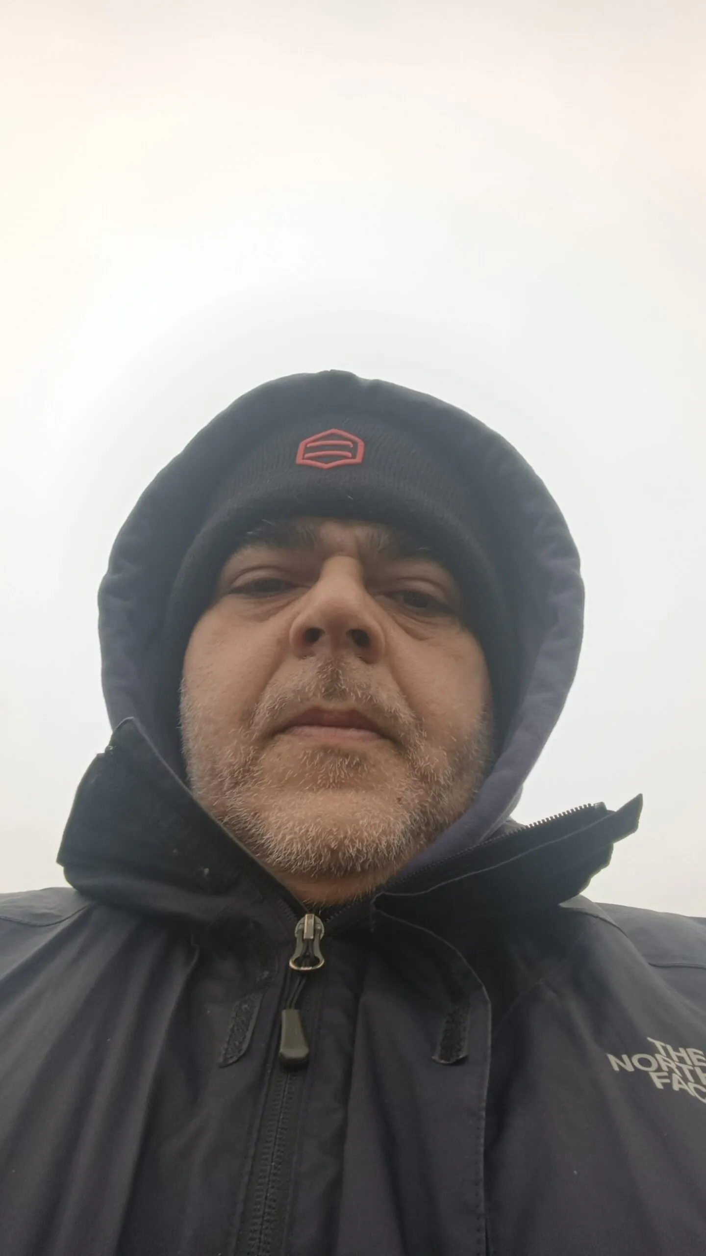 1000059978 scaled - Meeting of Styles: International Street Art & Graffiti