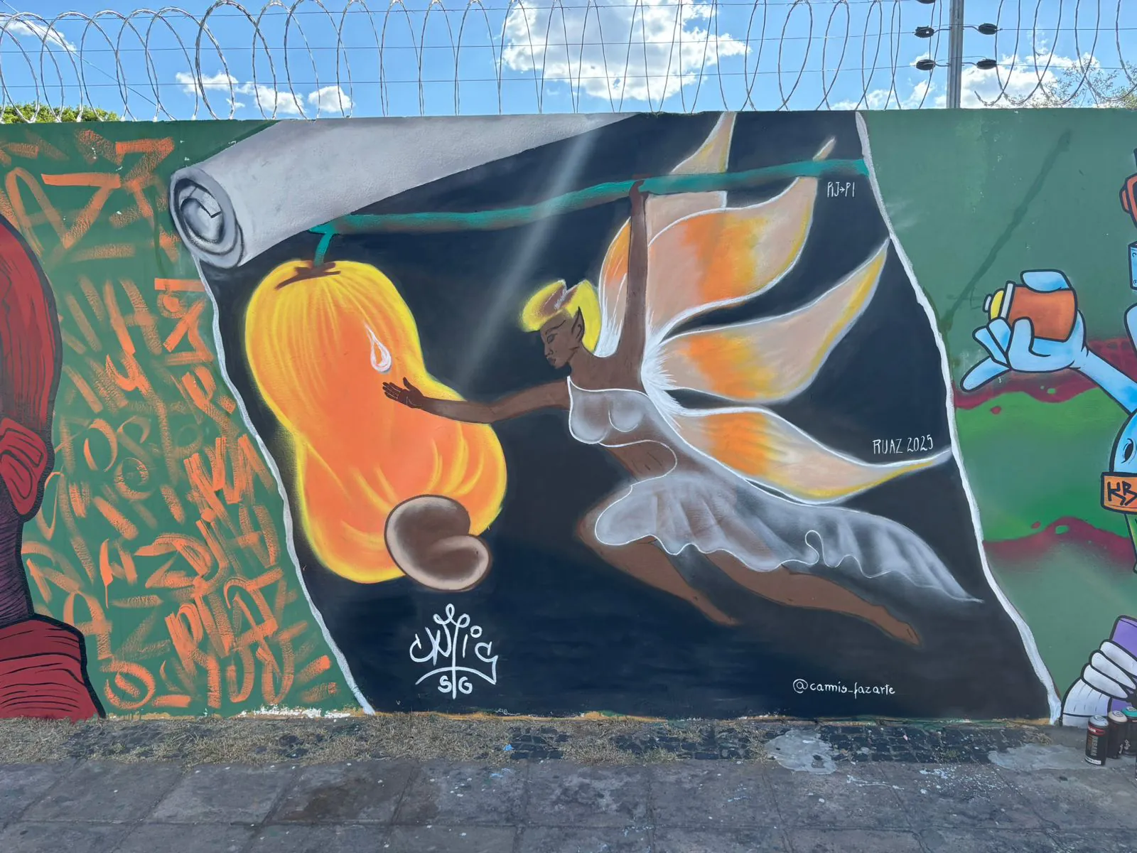 2025 CAMIS SG RUAZ PIAUI