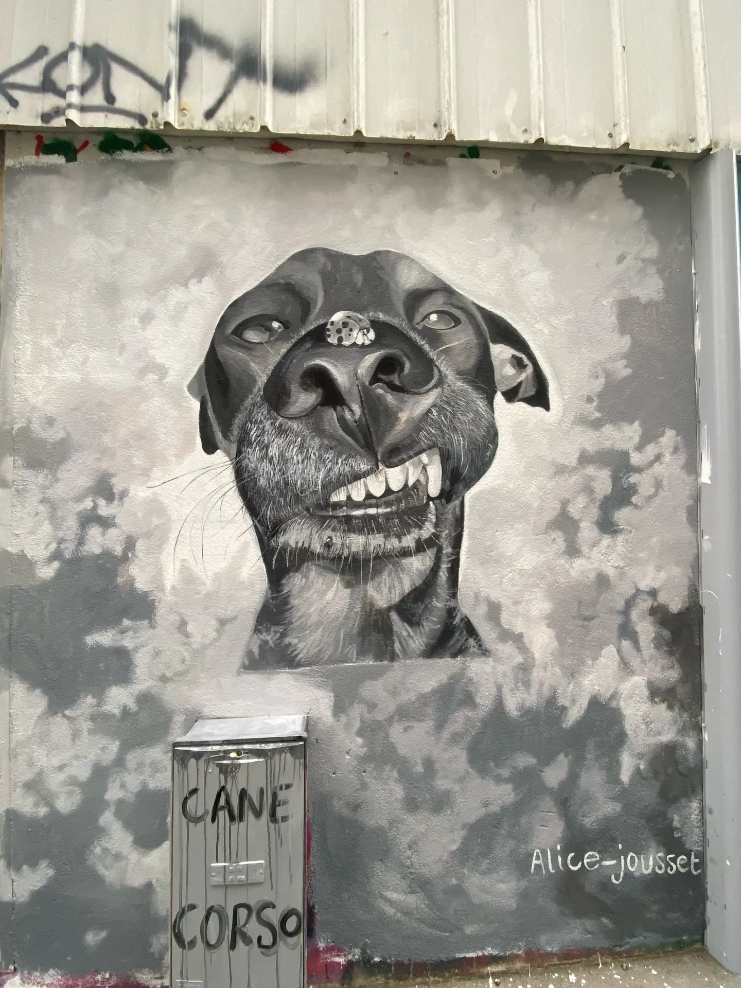 CANE CORSO Nantes - Meeting of Styles: International Street Art & Graffiti
