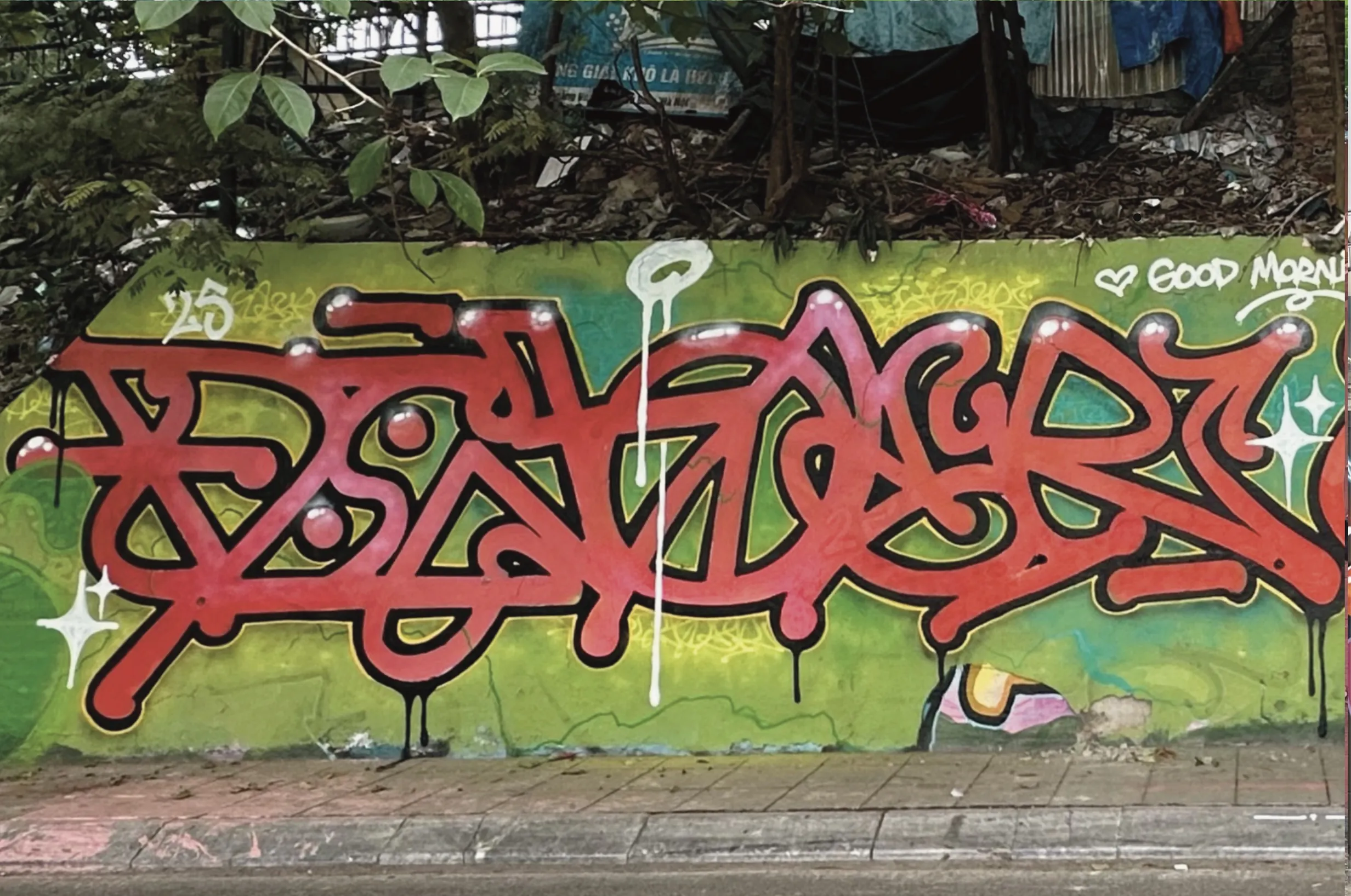 DIZOER x SHALER
