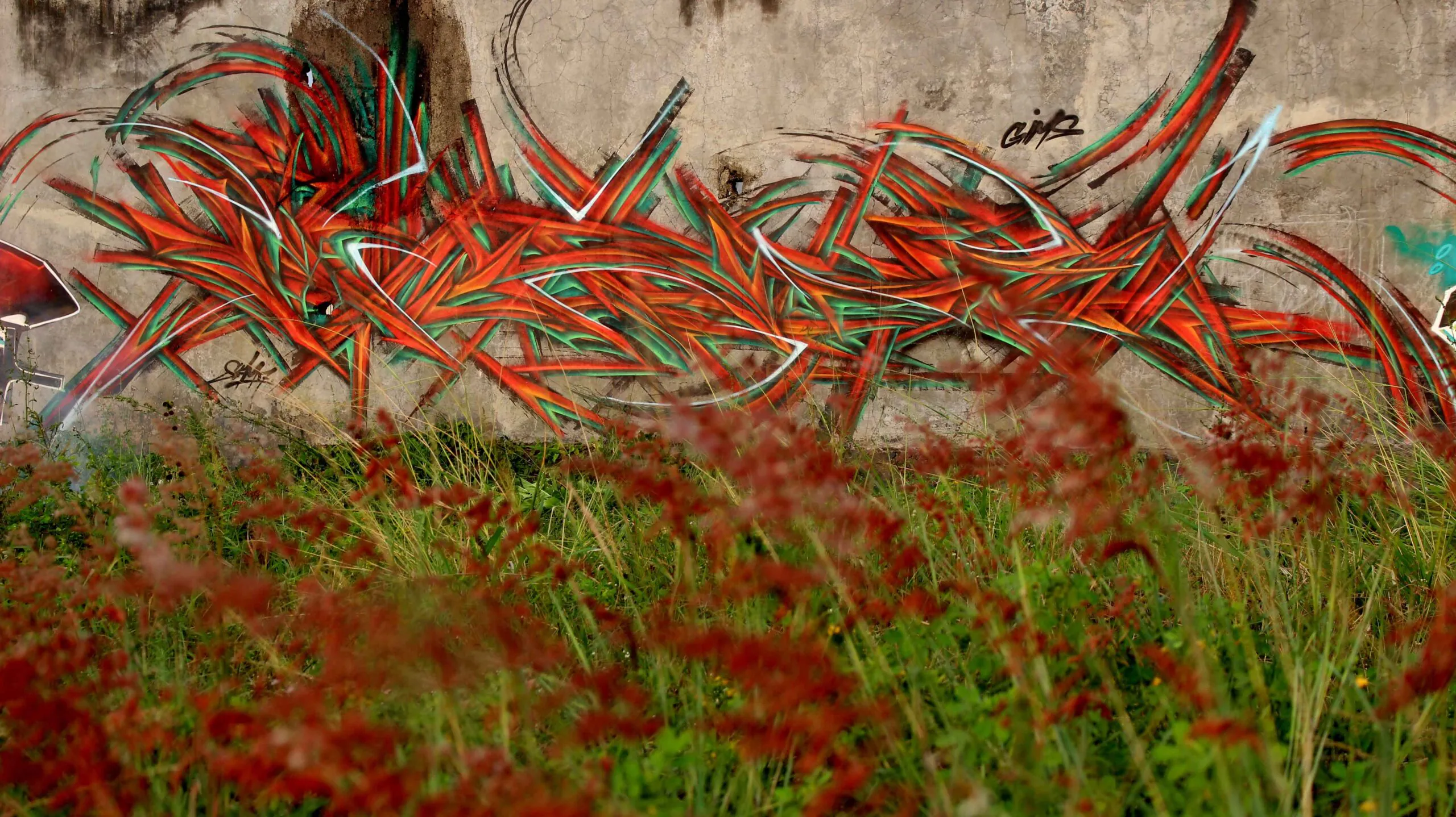 IMG 4803 scaled - Meeting of Styles: International Street Art & Graffiti