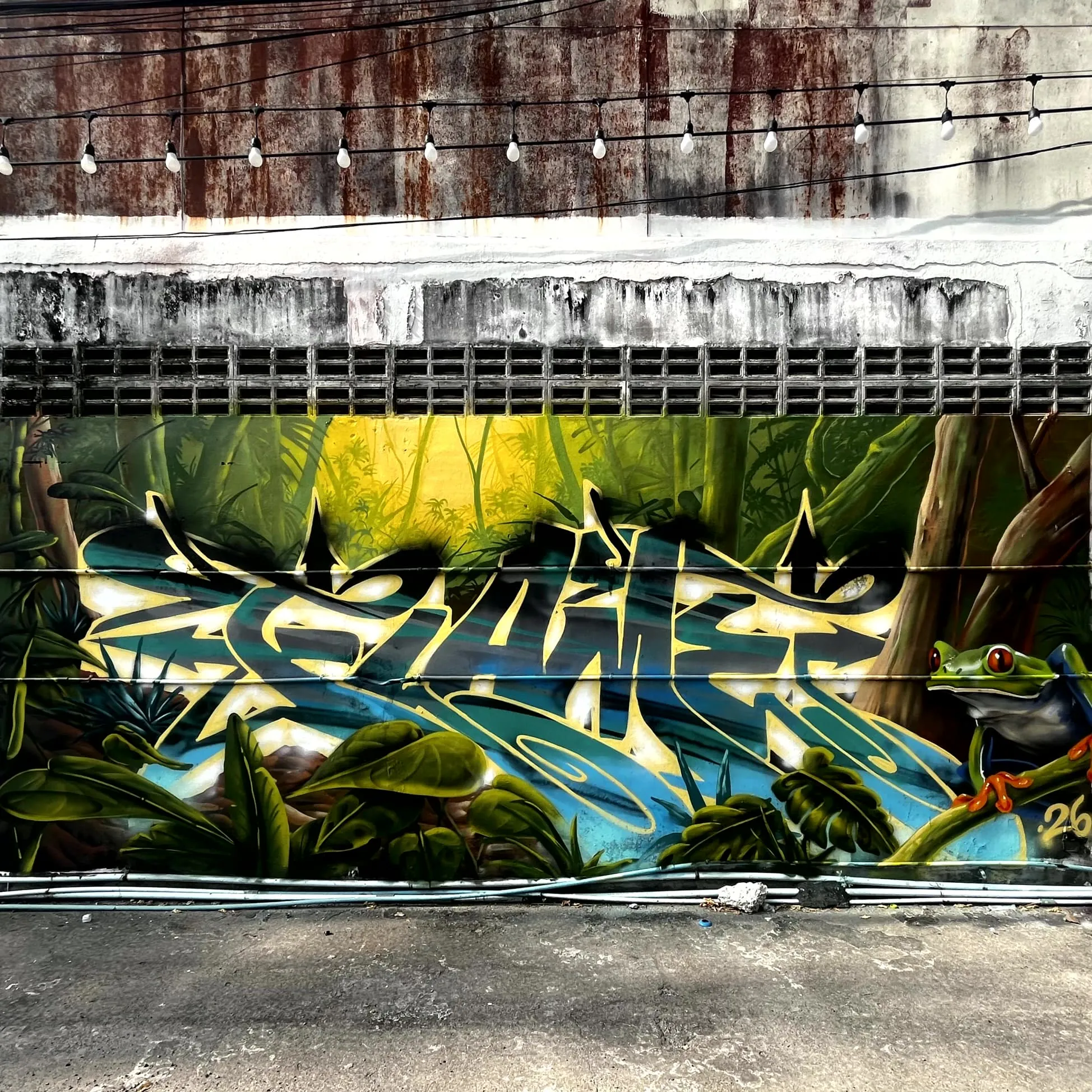 IMG 5428 - Meeting of Styles: International Street Art & Graffiti