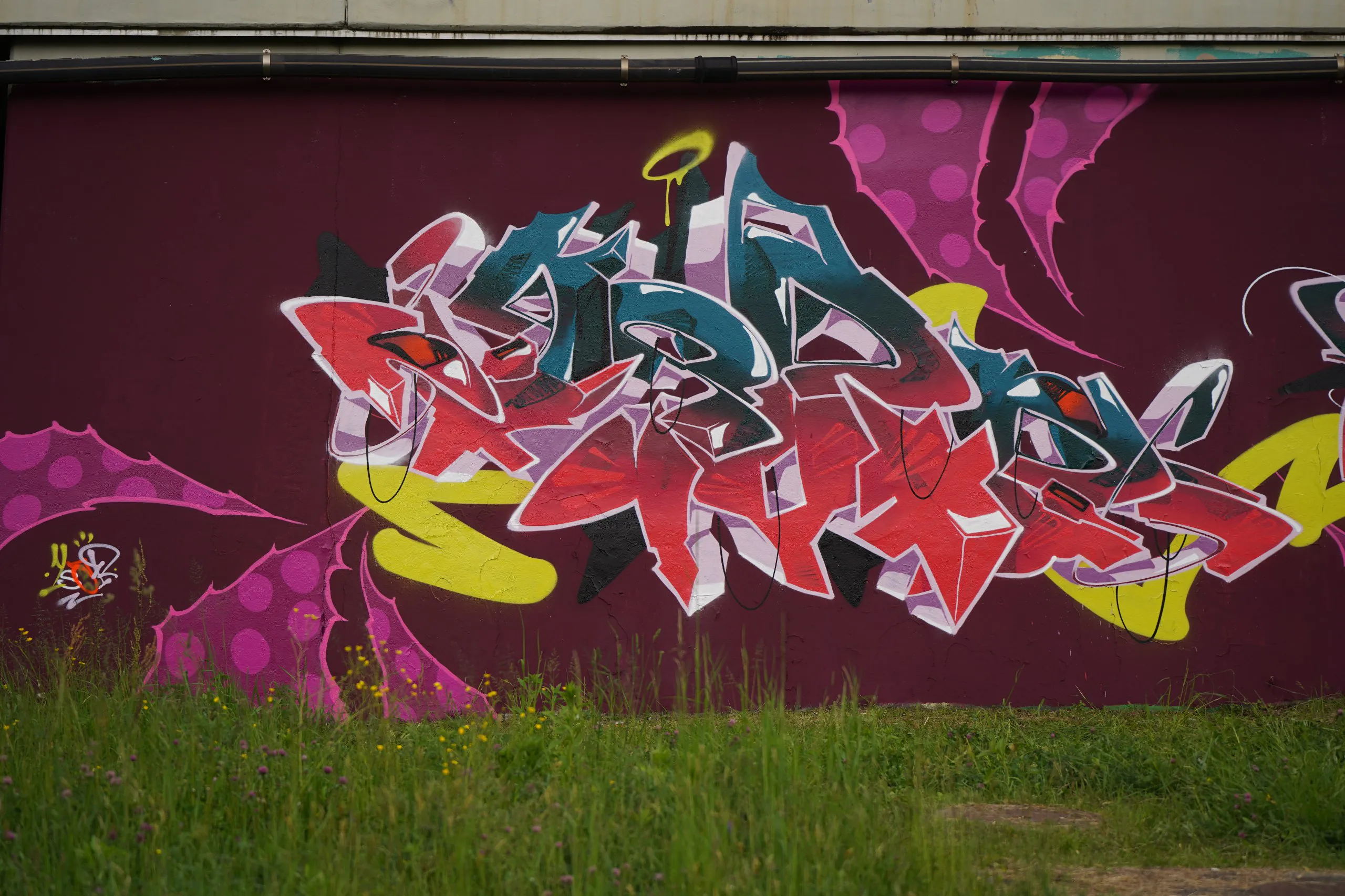 SprayDaily BattleFriends