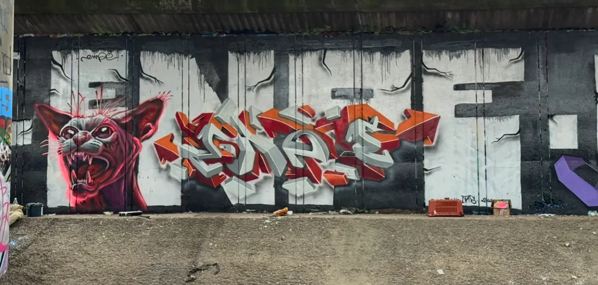 IMG 9880 - Meeting of Styles: International Street Art & Graffiti