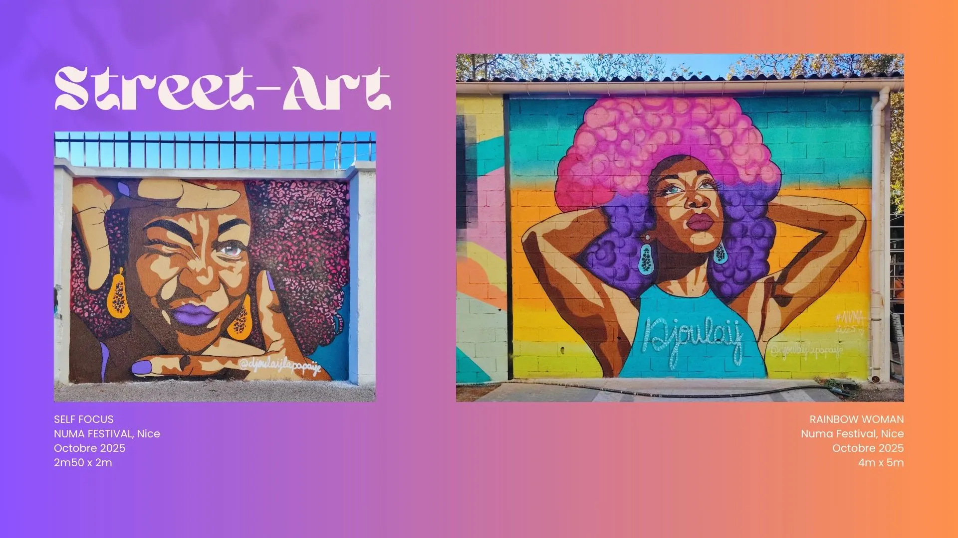 PORTFOLIO DJOULAYLAPAPAYE FAUCONJULIE 2