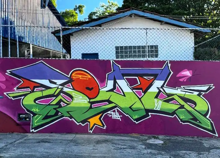 WhatsApp Image 2026 02 17 at 5.09.36 PM 1 - Meeting of Styles: International Street Art & Graffiti