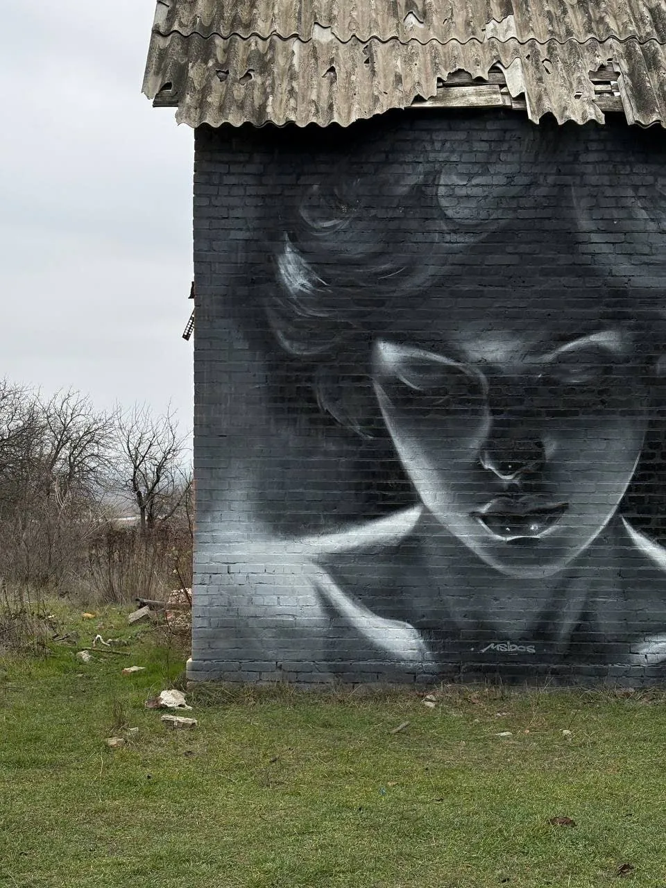 photo 2026 01 25 21 03 08