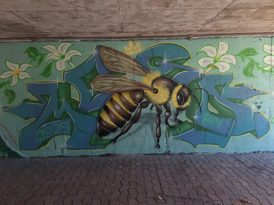 654477240 1536994378427363 3225014377704249638 n