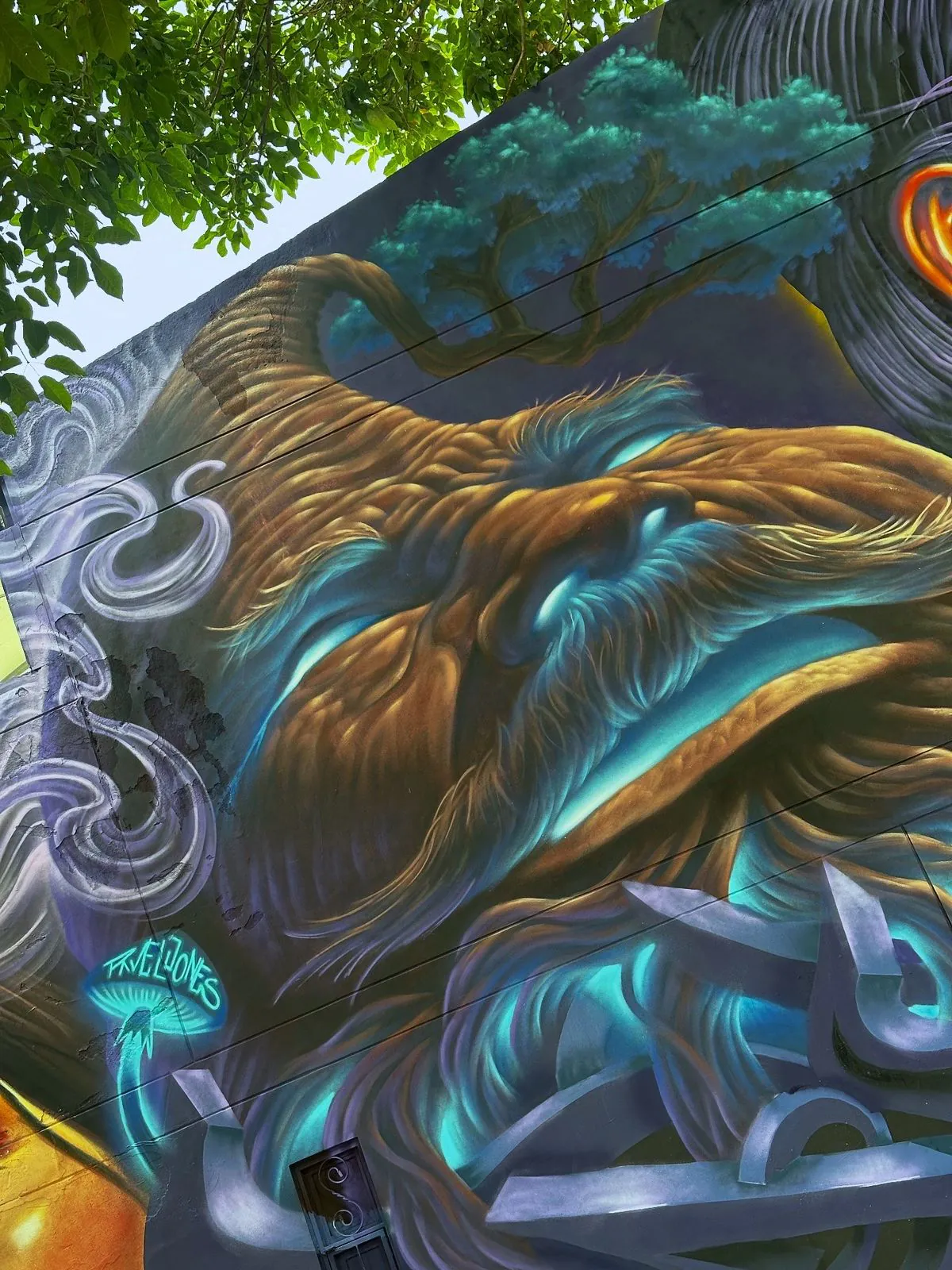 WhatsApp Image 2026 03 12 at 1.58.05 PM