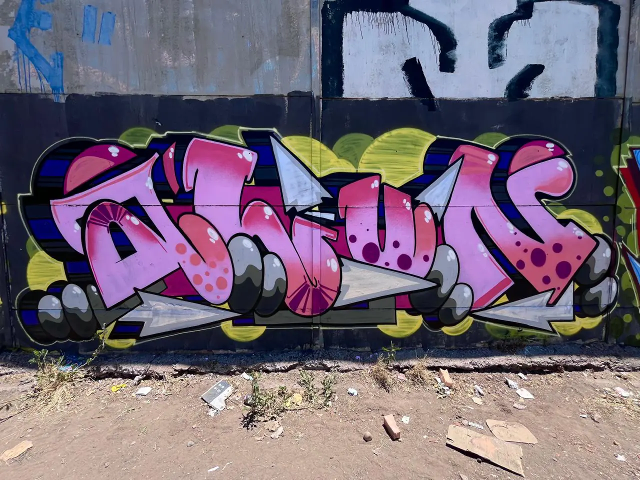 WhatsApp Image 2026 03 16 at 12.41.34