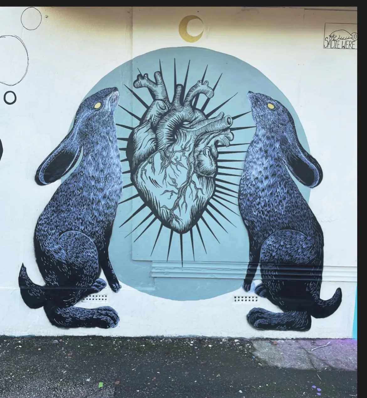 B20F3F04 3186 4E61 8AC3 D0731EC74FA7 - Meeting of Styles: International Street Art & Graffiti