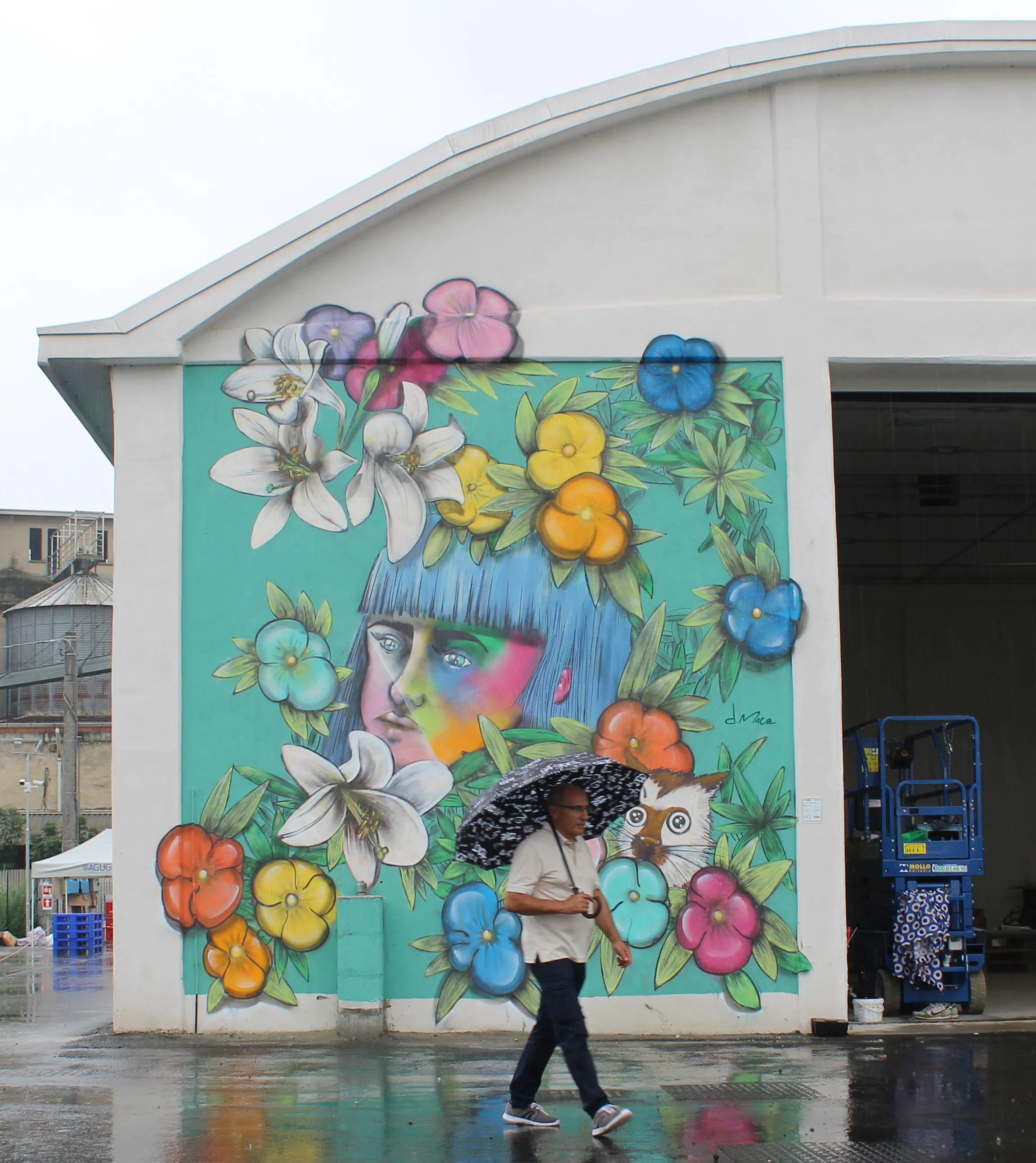 d.mace 2 - Meeting of Styles: International Street Art & Graffiti IMG 5586