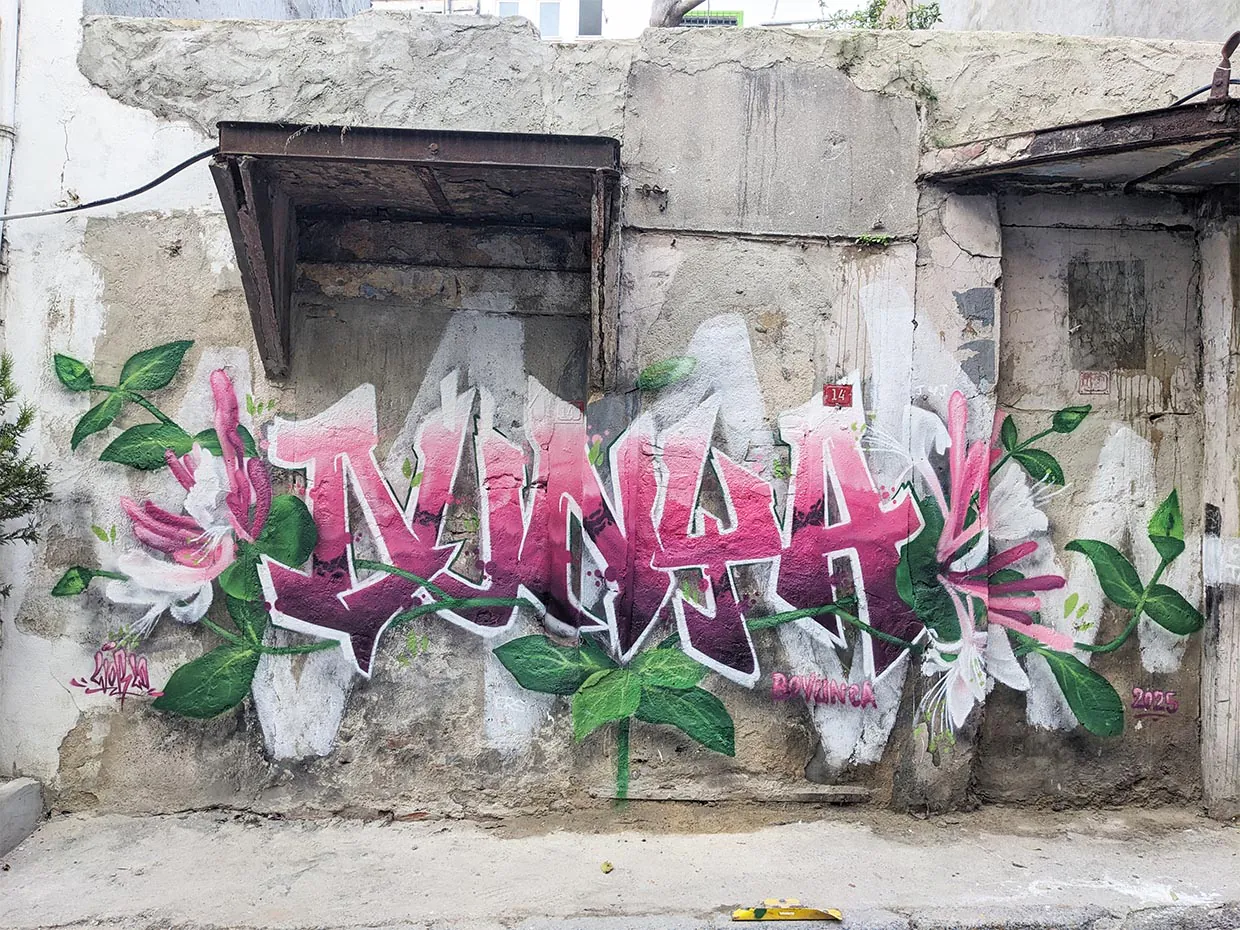 dunya turkey